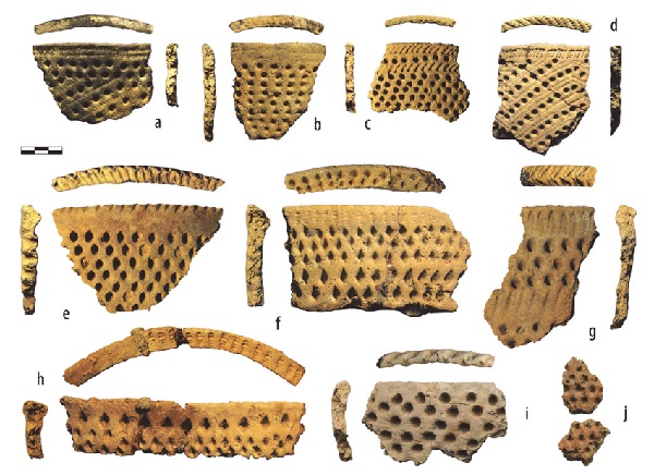 Image - Pottery shards of the Pit-Comb Ware culture