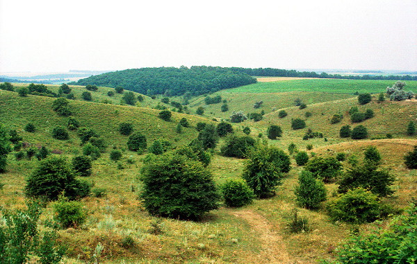 Image - Podolian Upland landscape (in Vinnytsia oblast).