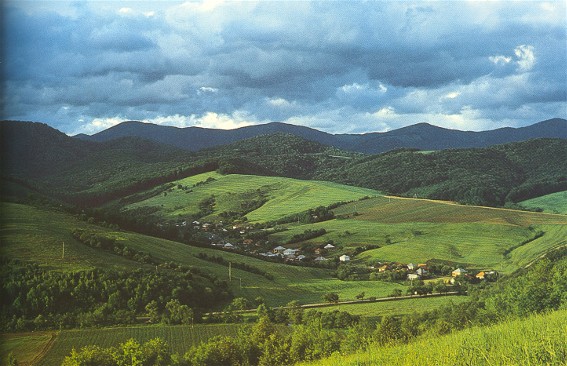 Image -- A panorama of the town of Poliana.