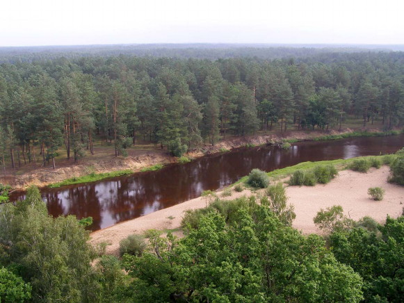 Image -- Polisia Nature Reserve (landscape).