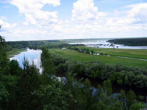Image - Polisia landscape near Novhorod-Siverskyi.