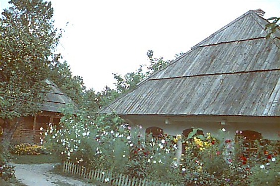 Image -- Poltava: Ivan Kotliarevsky House Memorial Museum.