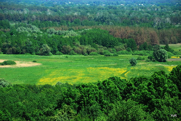 Image -- Poltava region in the vicinity of Opishnia.