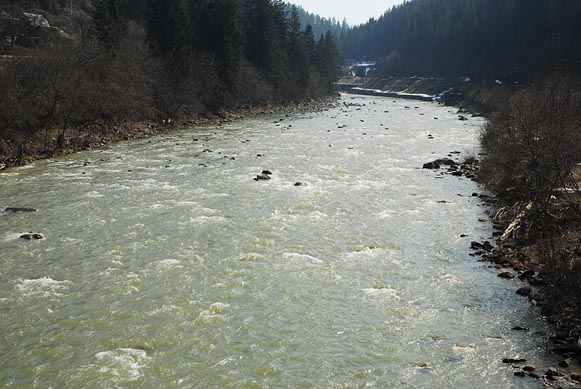 Image -- The Prut River in its upper reaches.