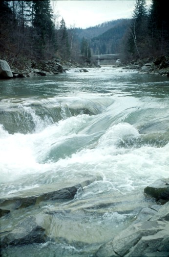 Image - Rapids on the Prut River near Yaremche.