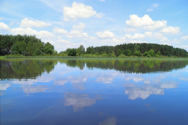 Image - A view of the Prypiat River.