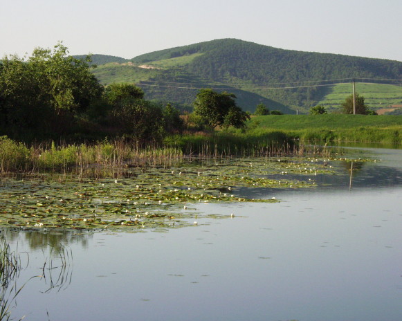Image - A view of the Prytysiansky Regional Landscape Park. 