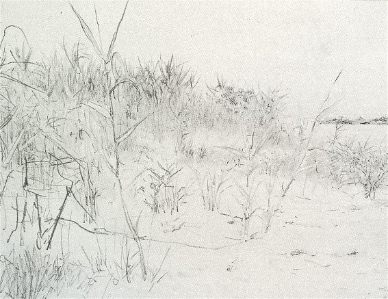 Image -- Ilia Repin: Flats near Nykopil (1880).