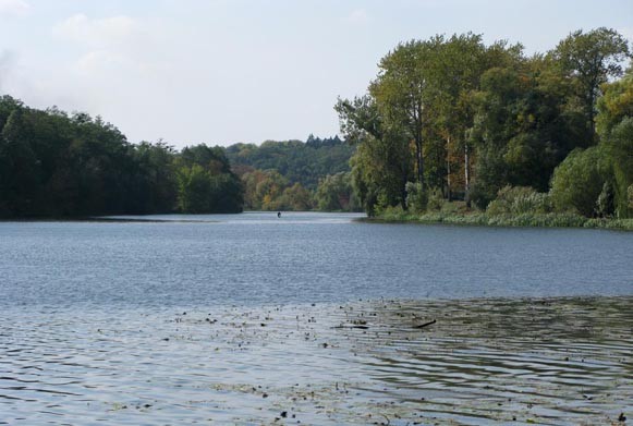 Image -- The Ros River near Bila Tserkva.