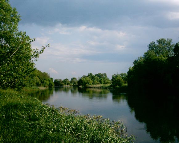 Image - The Ros River near Sukholisy.