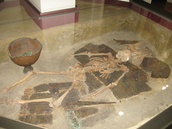 Image -- A Scythian warrior skeleton in the Cherkasy Oblast Regional Studies Museum.
