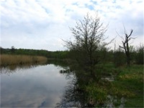 Image - The Seret River flowing through Ternopil oblast.