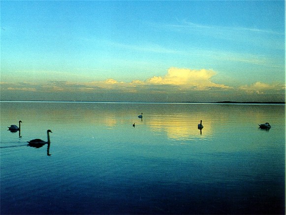 Image - Lake Svytiaz in Shatsk National Park.