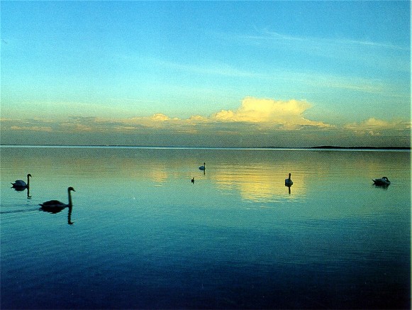 Image -- Lake Svytiaz in Shatsk National Park.