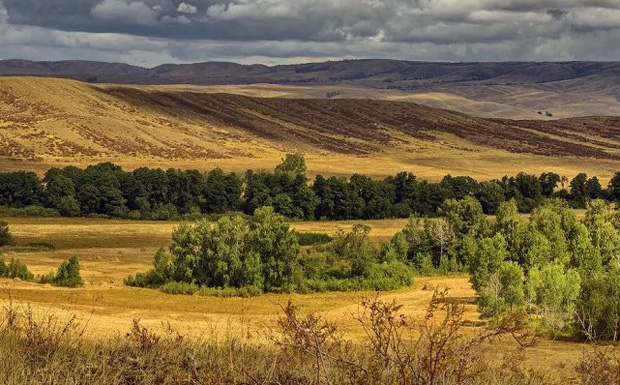 Image - Shelterbelts in the Ukrainian steppe