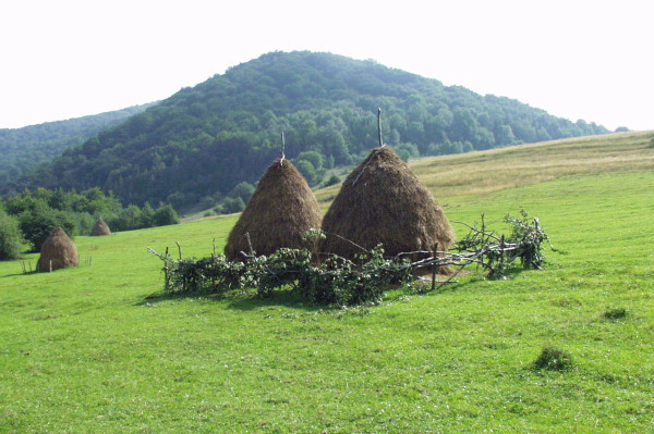 Image -- Sian Regional Landscape Park.