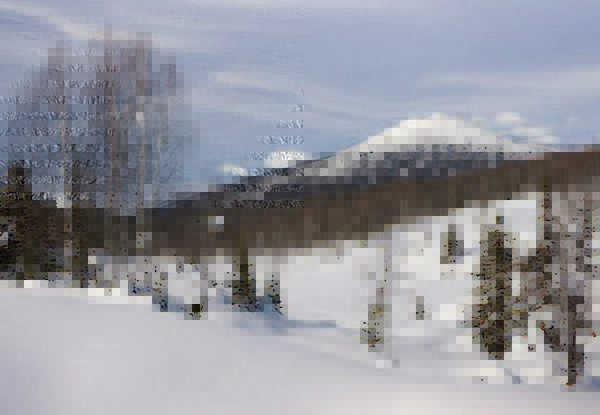 Image - Siberia (winter landscape).