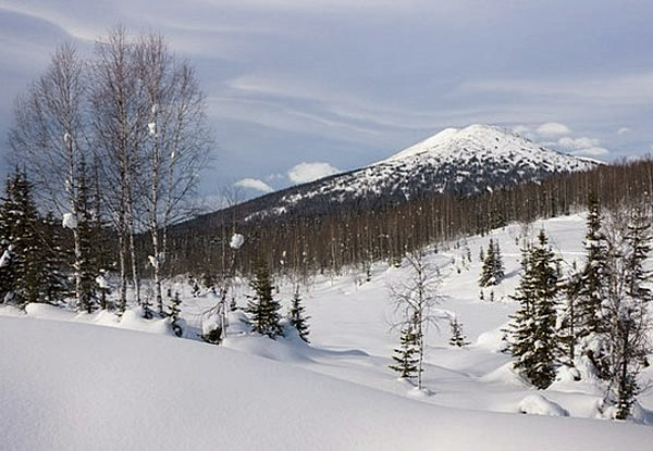 Image -- Siberia (winter landscape).