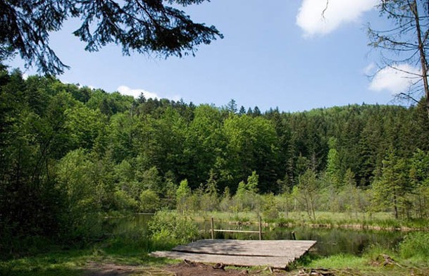 Image - Skole Beskyd National Nature Park