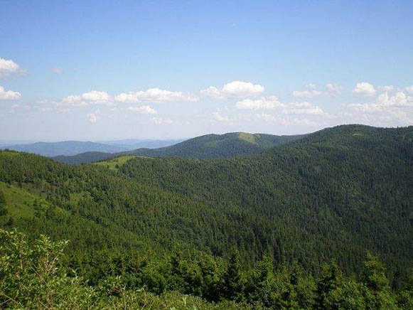 Image - Skole Beskyd National Nature Park