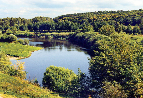 Image -- The Sluch River in Zhytomyr oblast.