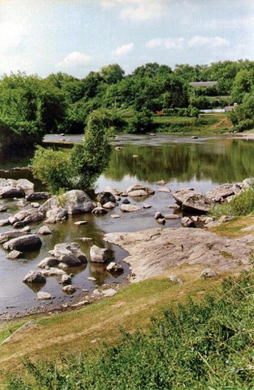 Image -- The Sluch River in its upper reaches.