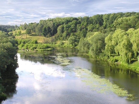 Image - The Sluch River near Novohrad-Volynskyi.