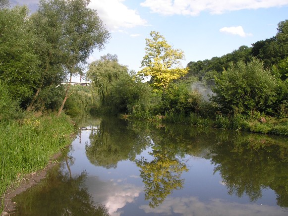 Image - A view of the Smotrych River.
