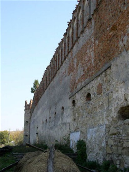 Image -- The castle in Stare Selo, Lviv oblast.