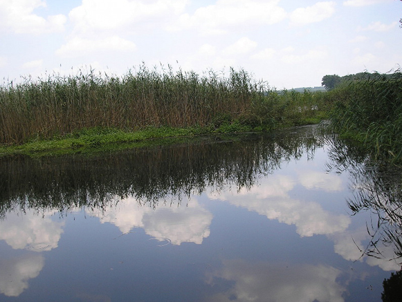 Image - The Sukhyi Torets River near Perelesne, Donetsk oblast.