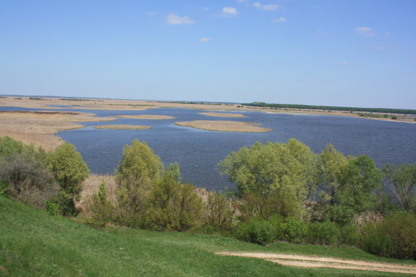 Image - The Sula River near Liashchivka.