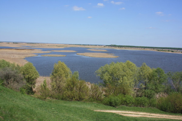 Image -- The Sula River near Liashchivka.