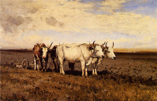 Image -- Serhii Svitoslavsky: Oxen in the Field (1891).