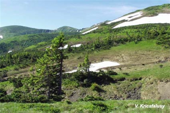 Image - A glacial pothole on the slopes of Mount Blyznytsia in the Svydivets mountain group.