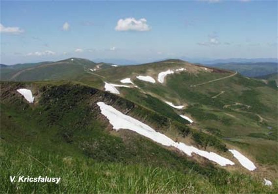 Image -- A landscape of the Svydivets mountain group.