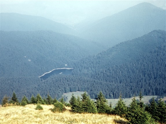 Image -- The Synevyr Lake: view from the mountains.