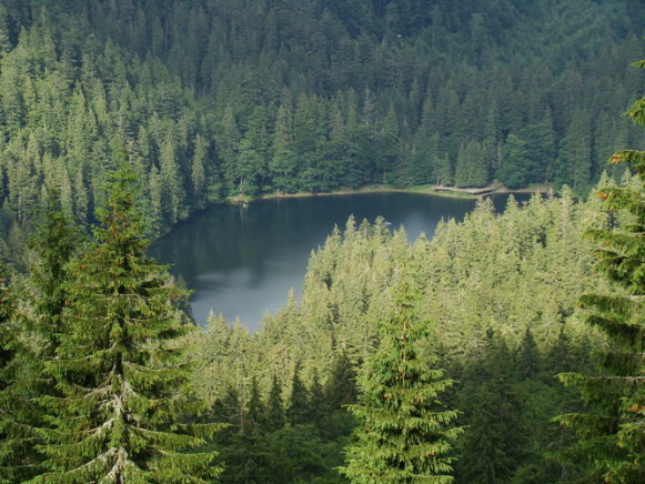 Image -- Synevyr Lake in the Gorgany Mountains (Carpathians).