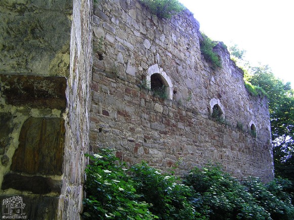 Image -- Ruins of the Terebovlia castle, Ternopil oblast.