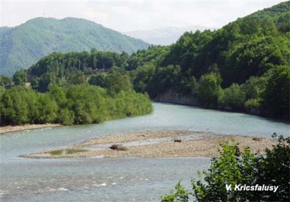 Image - The Teresva River flowing through the Volcanic Ukrainian Carpathians.