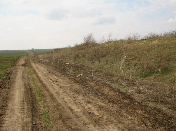 Image -- Remnants of Trajan's Walls.