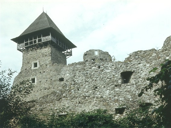 Image -- Transcarpathia Nevytske castle ruins.