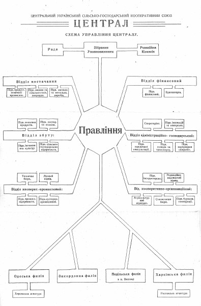 Image -- The organizational structure of the Tsentral co-operative association.