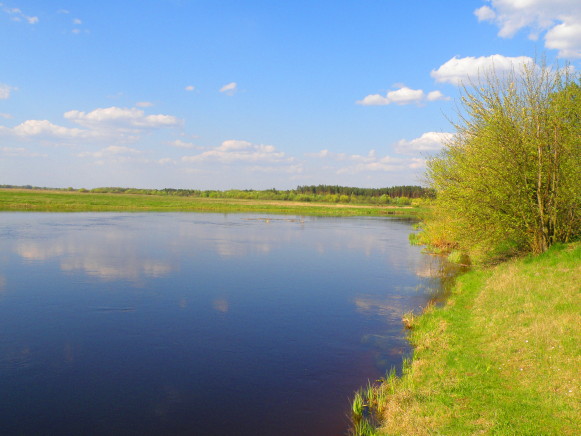 Image -- A view of the Turiia River (Volhynia oblast).