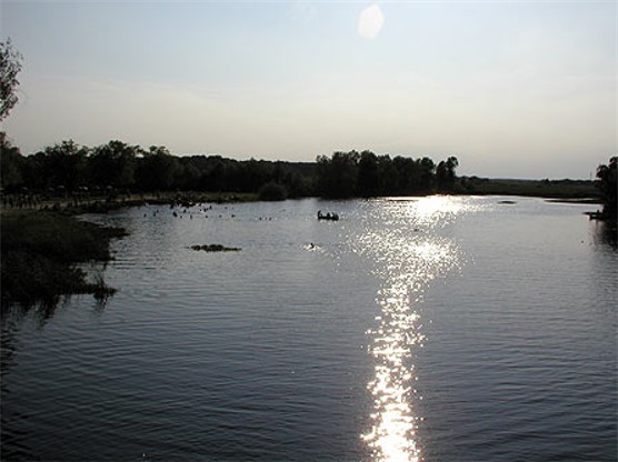 Image -- Udai River in the vicinity of Pryluka.