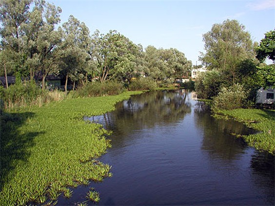 Image - Udai River in the vicinity of Pryluka.