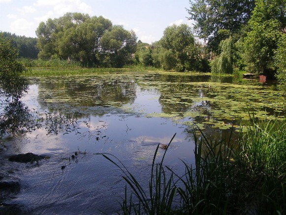Image - The Uzh River near Korosten.