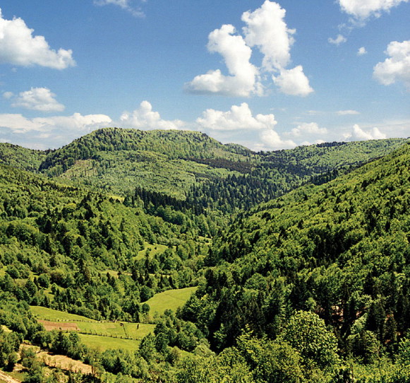 Image -- Uzhansky National Nature Park landscape.