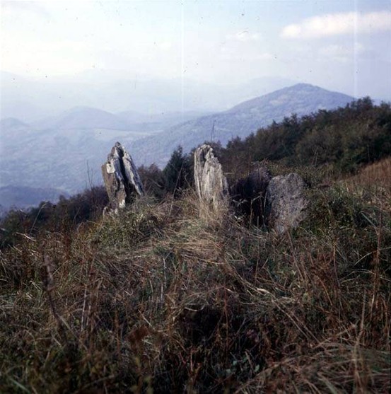 Image - Uzhanskyi National Park (landscape).