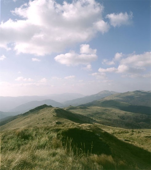 Image -- Uzhanskyi National Park (landscape).