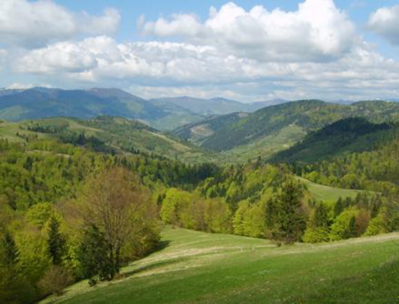 Image -- A landscape of the Velykyi Dil mountain group in the Volcanic Carpathian Mountains.